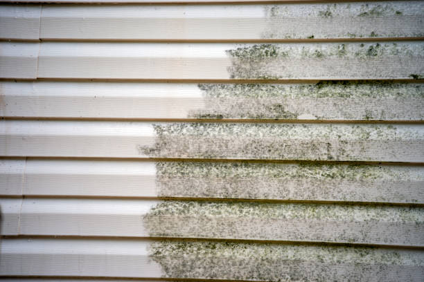 Best Hoarding Cleanup  in Dobbs Ferry, NY